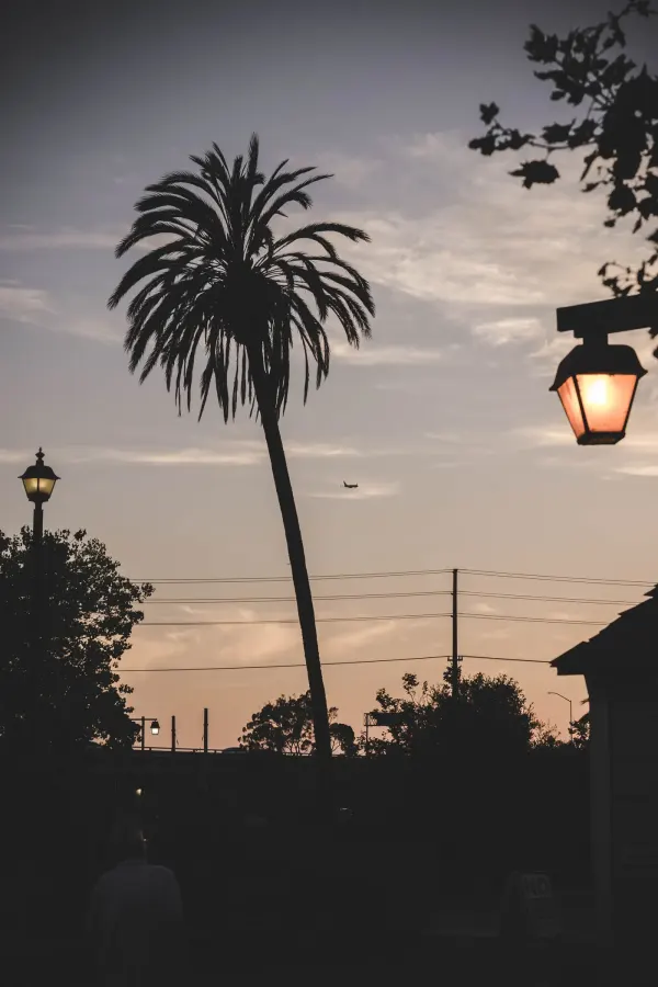 Photograph from a personal series, frame 4 of 10