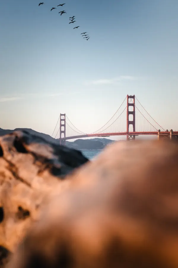 Photograph from a personal series, frame 10 of 10