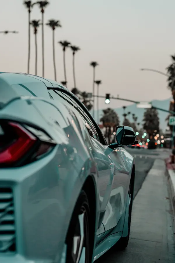 White car on a palm-lined street